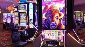 kvs247 Sportsbook